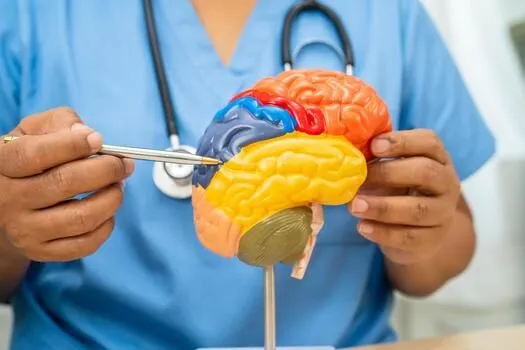 Understanding Parkinson's Disease: An Ayurvedic Perspective