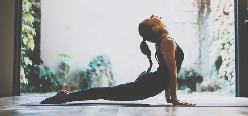 Understanding Pitta Dosha: The Energy of Transformation