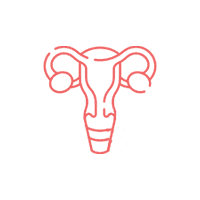 Gynaecology icon