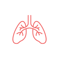 Pulmonology icon